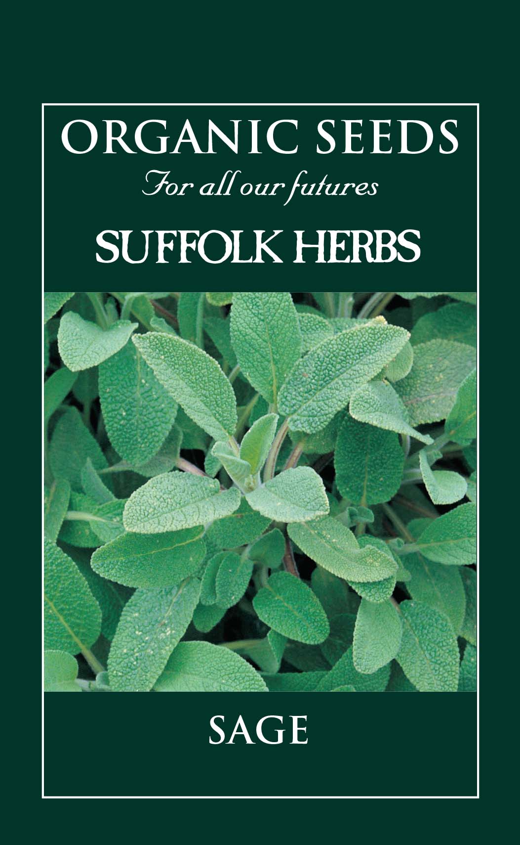 Sage - Organic Seeds