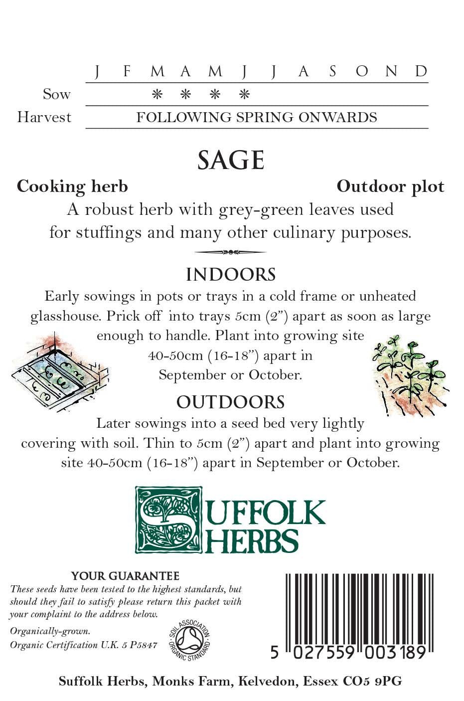 Sage - Organic Seeds