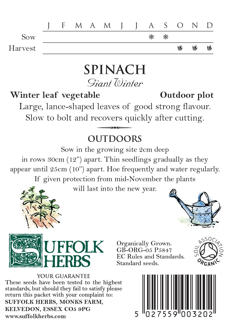 Spinach Organic Seeds - Giant Winter