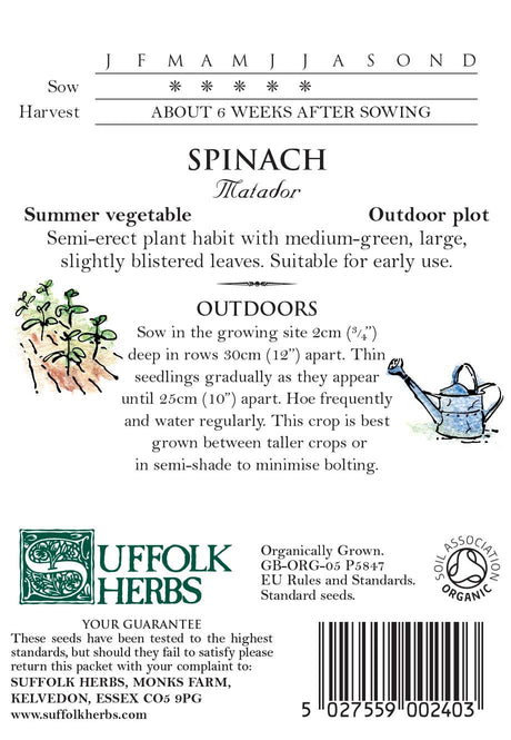 Spinach Organic Seeds - Matador