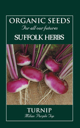 Turnip Organic Seeds - Milan Purple
