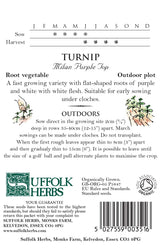 Turnip Organic Seeds - Milan Purple