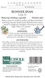 Runner Bean Organic Seeds - Lady DI