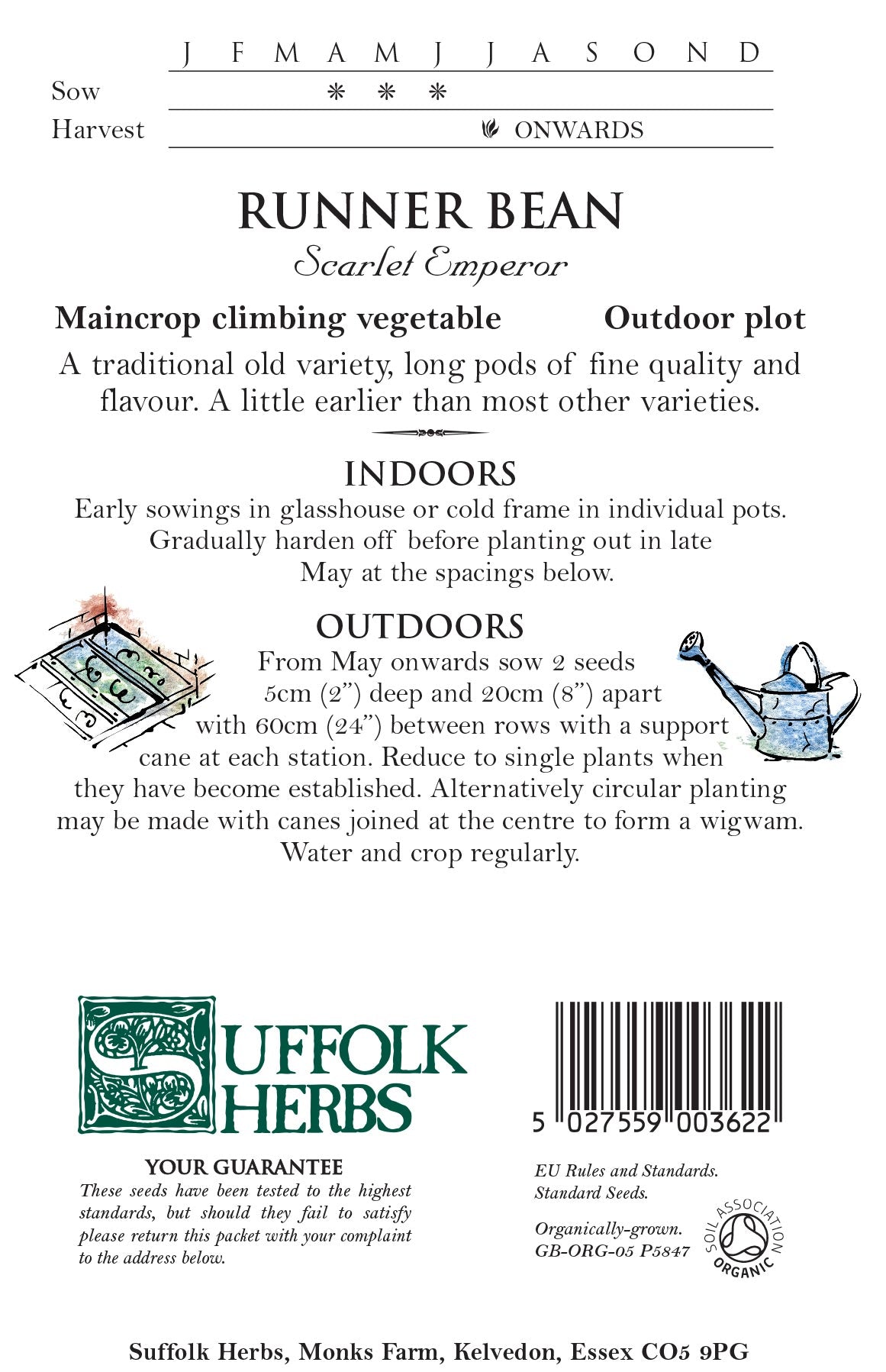 Runner Bean Organic Seeds - Scarlet Emperor