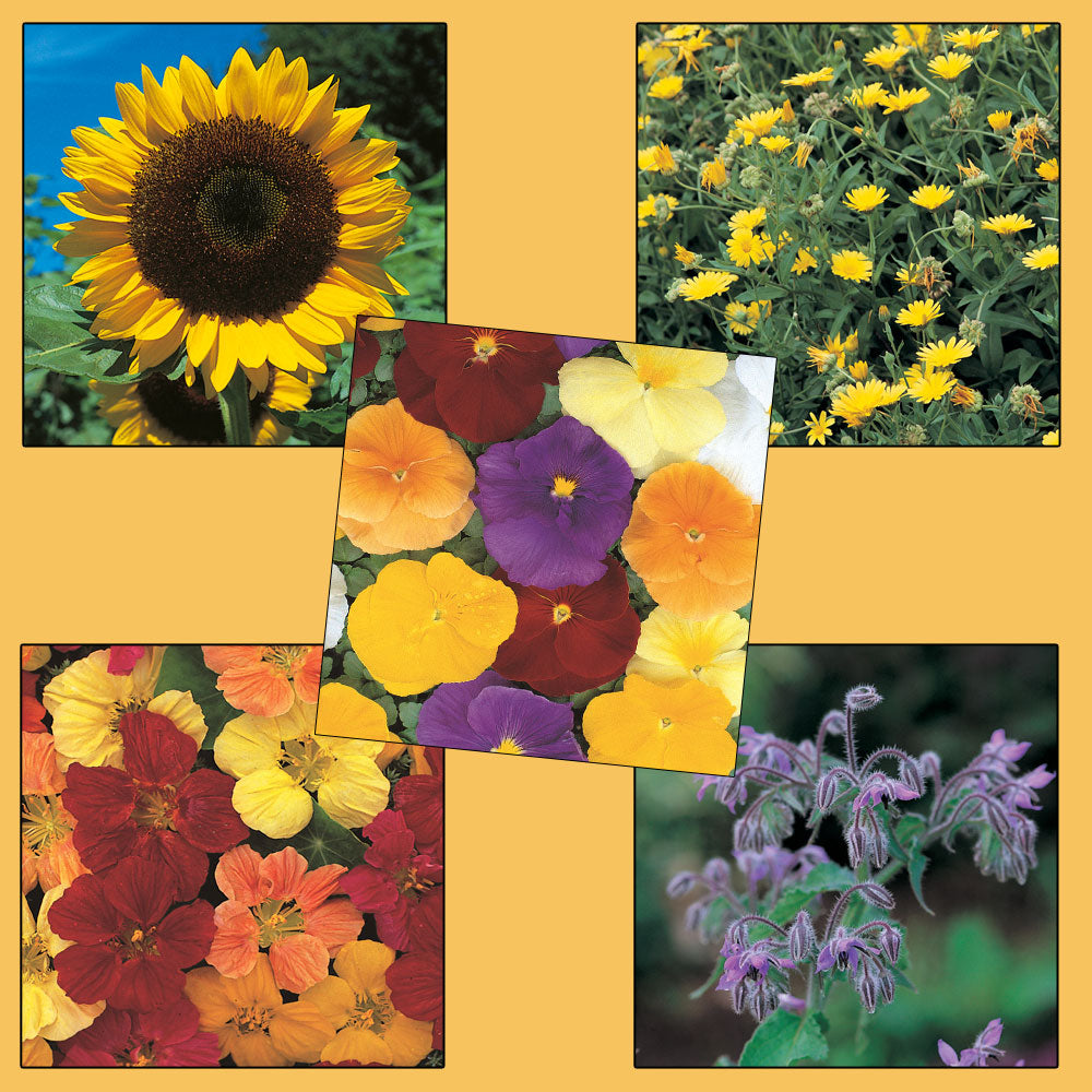Edible Flower Collection Pack