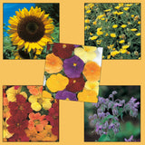 Edible Flower Collection Pack
