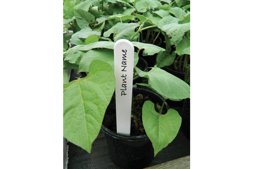 White Plant Labels 15cm (25 Pack)