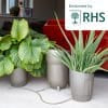 Khloris Watering System – Automatic Gravity Irrigation System for indoor plants