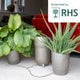 Khloris Watering System – Automatic Gravity Irrigation System for indoor plants