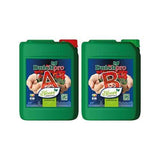 Dutch Pro HYDO/COCO Bloom A+B (HW)