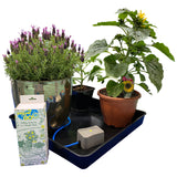 Autopot 9mm Easy2Go Kit