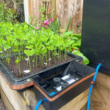 Autopot Tray2Grow Complete