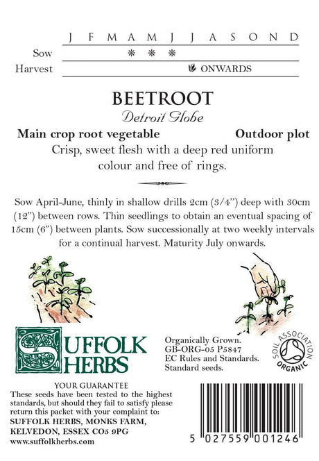 Beetroot (Beta Vulgaris) Detroit Organic Seeds