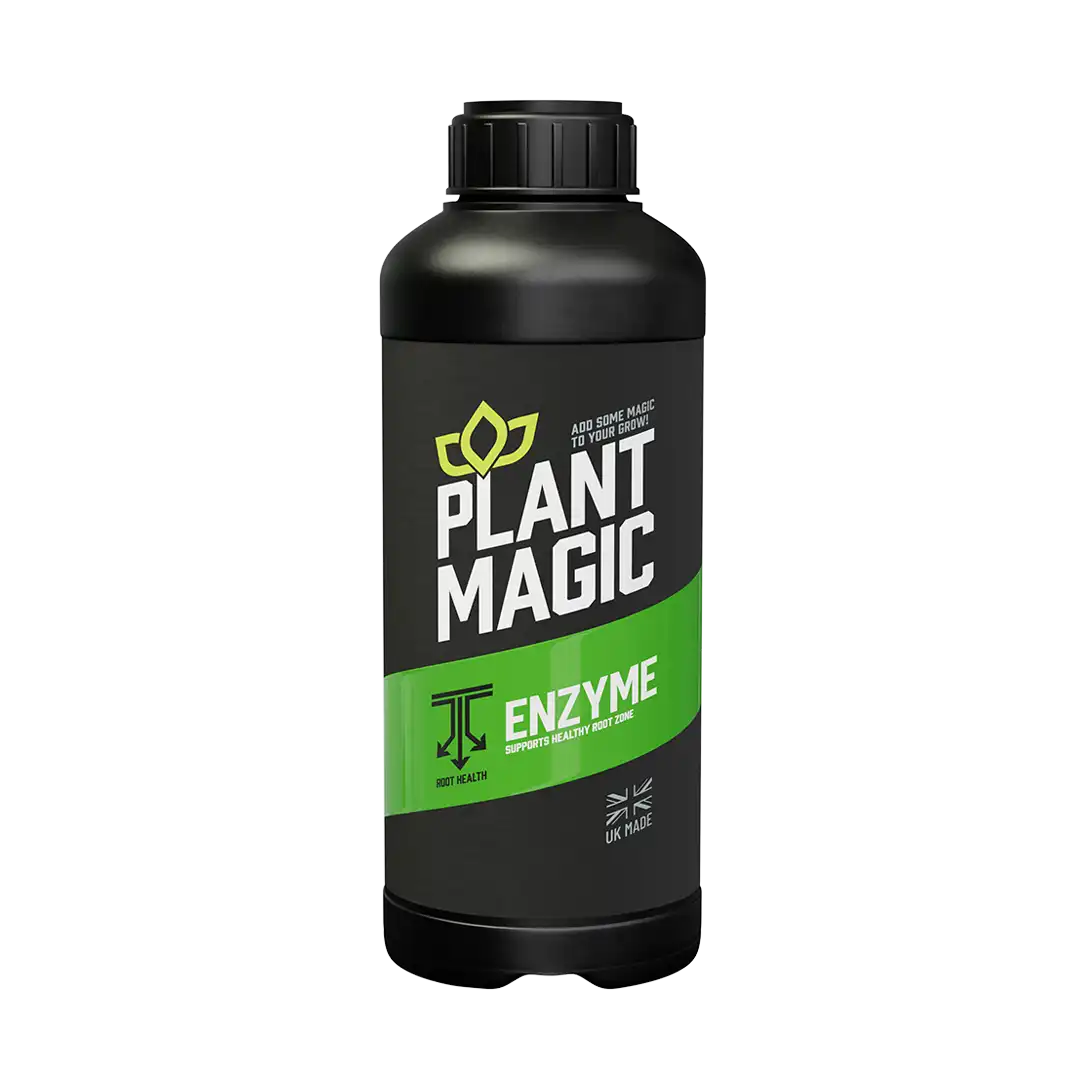 Plant Magic - Enzyme