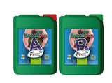 Dutch Pro HYDO/COCO Grow A+B (HW)
