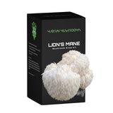 Lion’s Mane 1.6kg – Easy Home Mushroom Growing Kit