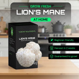 Lion’s Mane 1.6kg – Easy Home Mushroom Growing Kit
