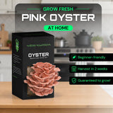 Pink Oyster 1.6kg – Easy Home Mushroom Growing Kit