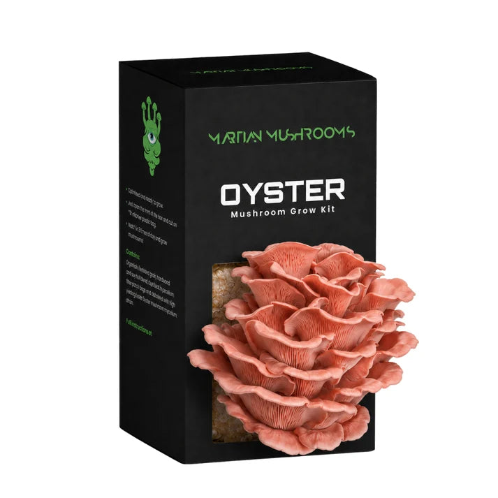 Pink Oyster 1.6kg – Easy Home Mushroom Growing Kit
