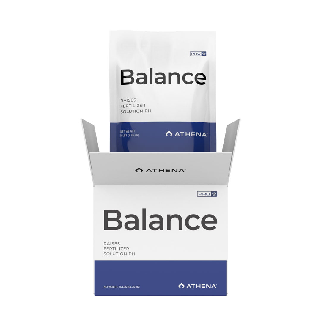 Athena Pro Line Balance 4.5kg