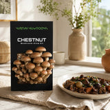 Speckled Chestnut 1.6kg – Easy Home Mushroom Growing Kit