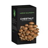Speckled Chestnut 1.6kg – Easy Home Mushroom Growing Kit