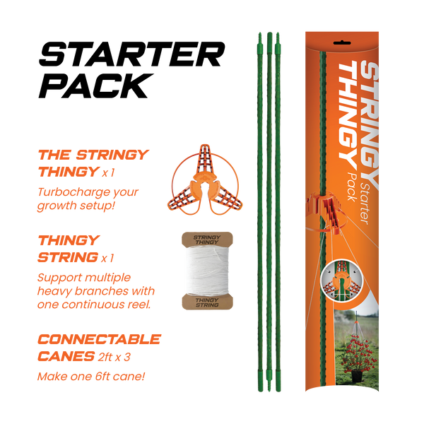 Stringy Thingy Starter Pack (3 x Screw Canes, 1 x Stringy, 1 x holder)