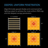 AC Infinity Ionframe EVO6 LED Grow Light (500W) - 4x4 ft