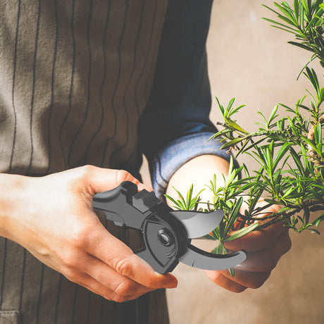 AC Infinity Carbon Steel Pruning Shears 8" (AC-PSA8)