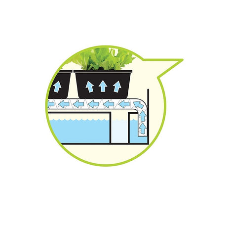 Garland Super 7 Self Watering Propagator