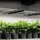 AC Infinity IONFRAME EVO8 730W LED Grow Light – Full Spectrum Bar Light for 5x5 Coverage (AC-IF8K)