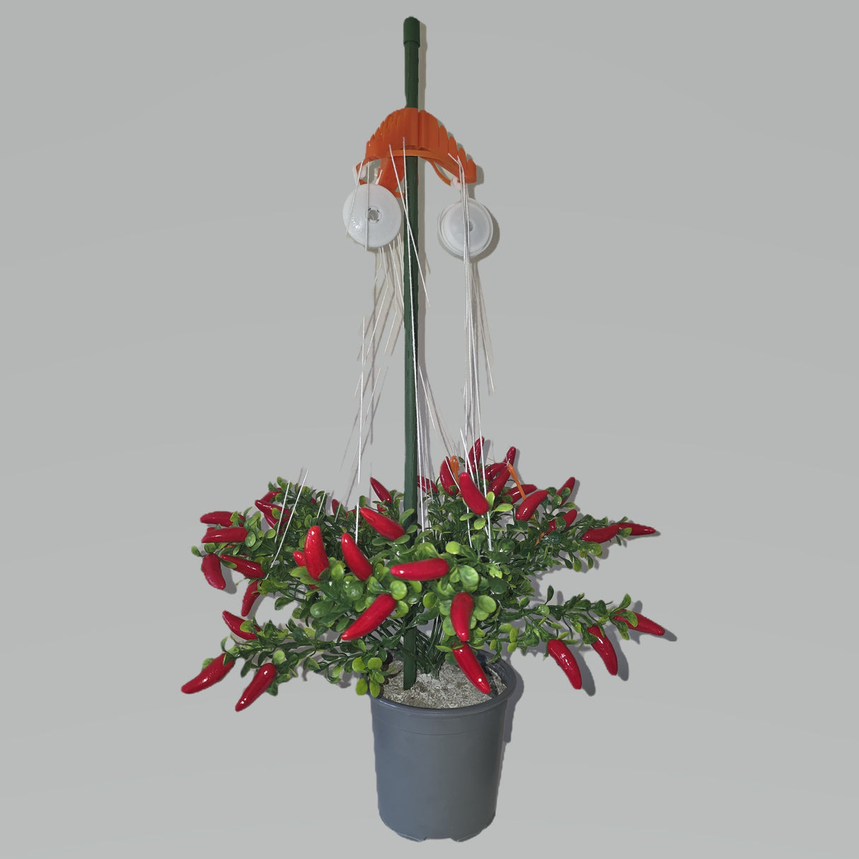 Stringy Thingy Starter Pack (3 x Screw Canes, 1 x Stringy, 1 x holder)