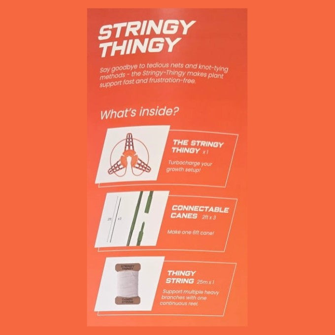 Stringys Reviews Stringy Thingy Starter Pack (3 x Screw Canes, 1 x Stringy, 1 x holder ...