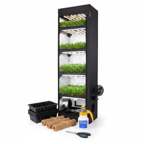 Go Grow Microgreen Large Kit Bundle Shot
