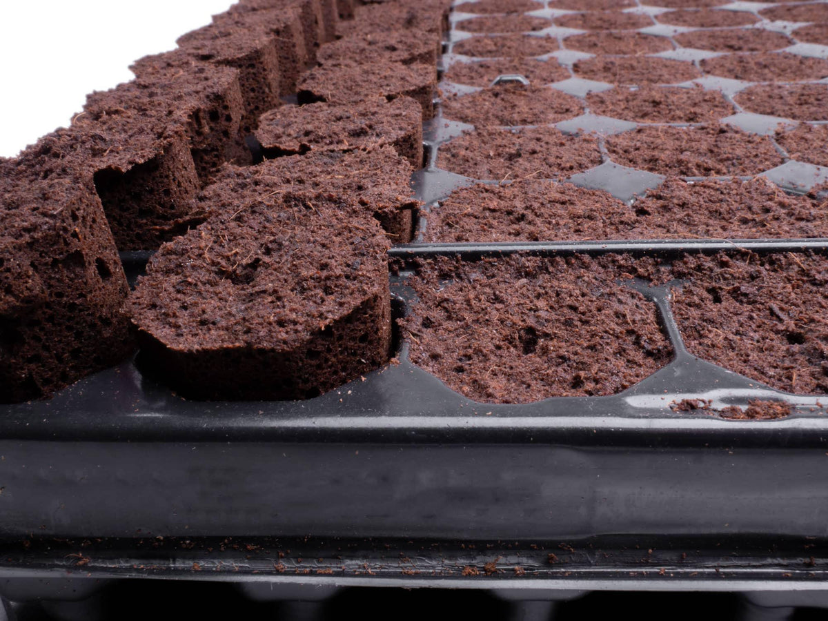 Plug Life 80/20 (Peatmix) Tray 104