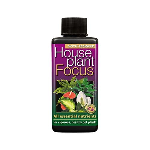Growth Technology Houseplant Focus 300ml