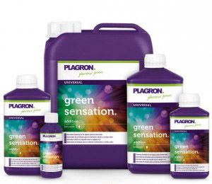 Plagon - Green Sensation