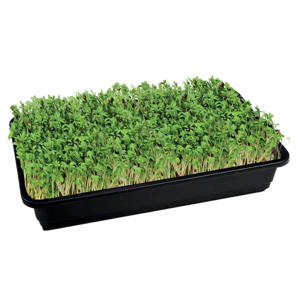 Garland Micro Greens Starter Bundle