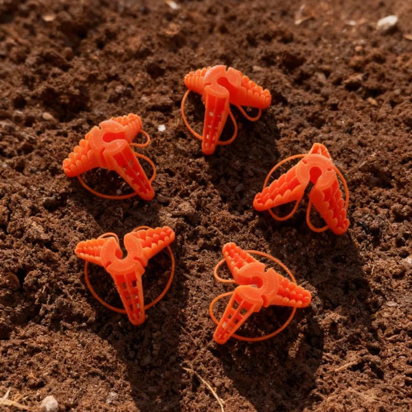 Stringy Thingy Starter Pack (3 x Screw Canes, 1 x Stringy, 1 x holder)