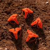 Stringy Thingy Starter Pack (3 x Screw Canes, 1 x Stringy, 1 x holder)