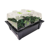 X-Stream Aeroponic Propagator