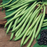 Climbing French Bean Organic Seeds - Cobra -