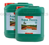 Canna - Aqua Flores A & B