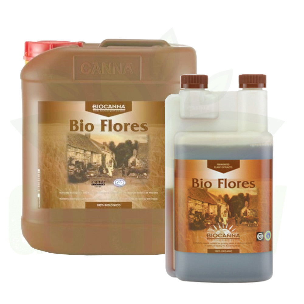 Canna Bio Flores