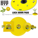 HYP Lockdown Round 12" Round (pack of 5)