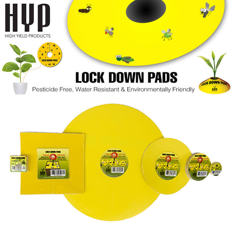 HYP Lockdown Round 12" Round (pack of 5)