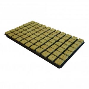 Grodan Rockwool SBS Trays
