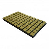 Grodan Rockwool SBS Trays