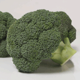 Calabrese Organic Vegetable Seeds - Covina