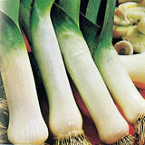 Leek Organic Seeds - Carentan